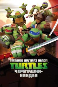 Черепашки-ниндзя 5 сезон