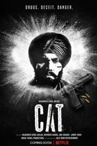 CAT 1 сезон